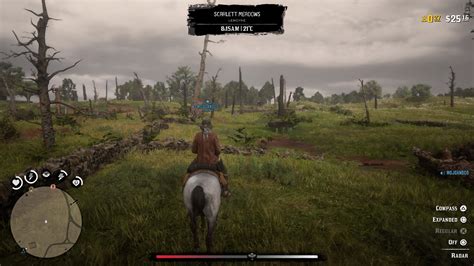 red dead online guide|28 essential Red Dead Online tips to know before you .